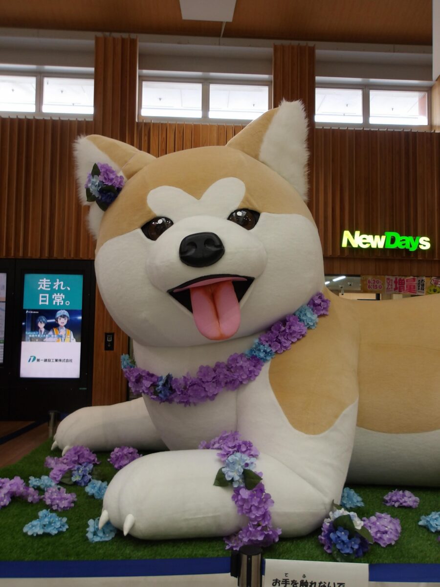 写真：秋田駅