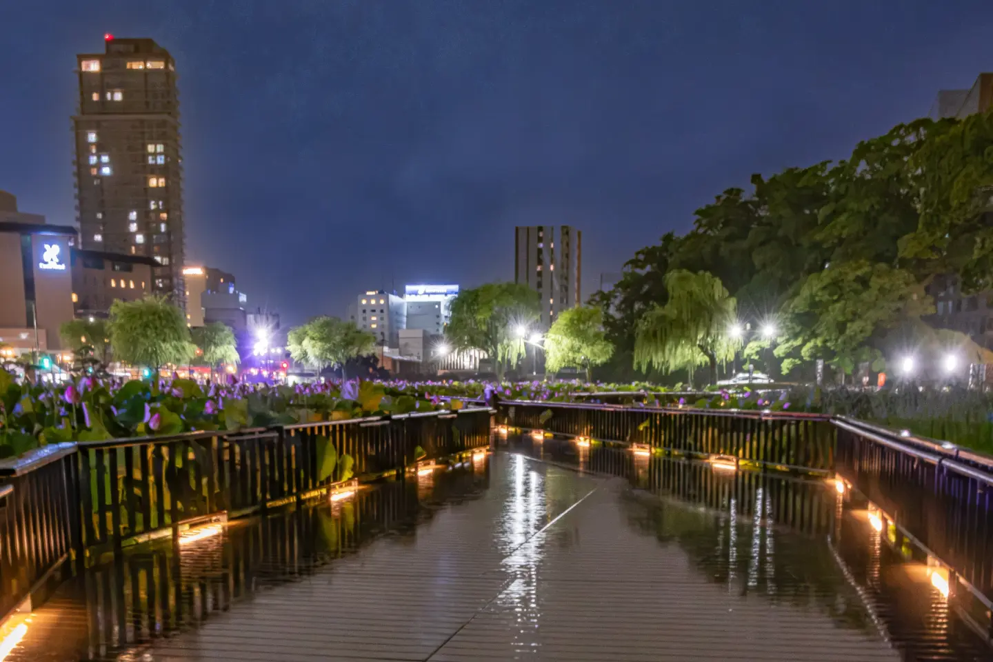 写真：大手門の堀