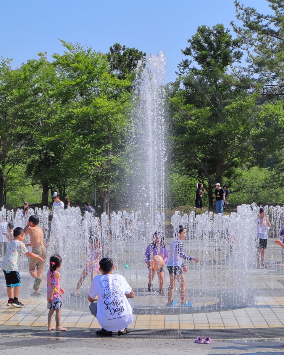 写真：小泉潟公園